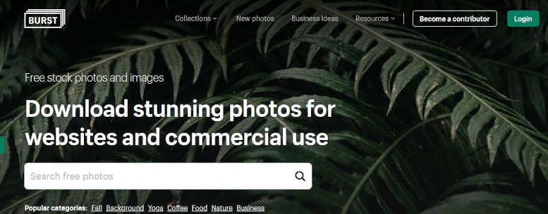 Shopify Image Library, Free Stock Photos, Burst Free Images